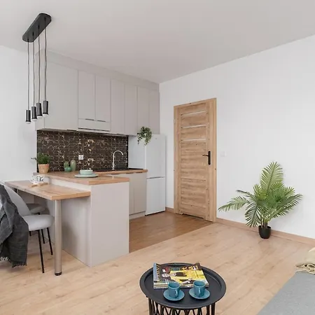 Apartment Sanocka Spot, Hospital Kopernika Lodz (Lodz)