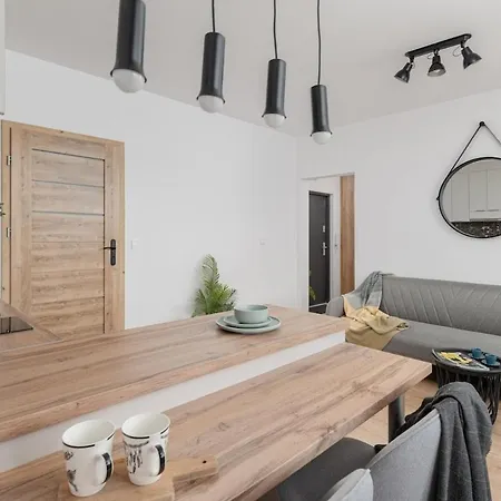Sanocka Spot, Hospital Kopernika Apartment Lodz